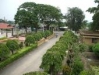 Road leading in to the ashram