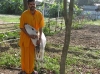 Br Sadashiv Chaitanya with a loving calf